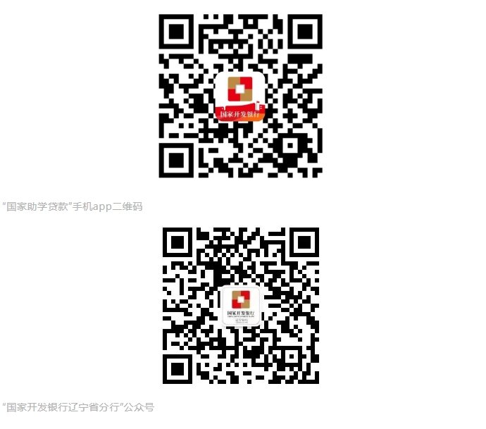 辽望·辽宁日报发布时间