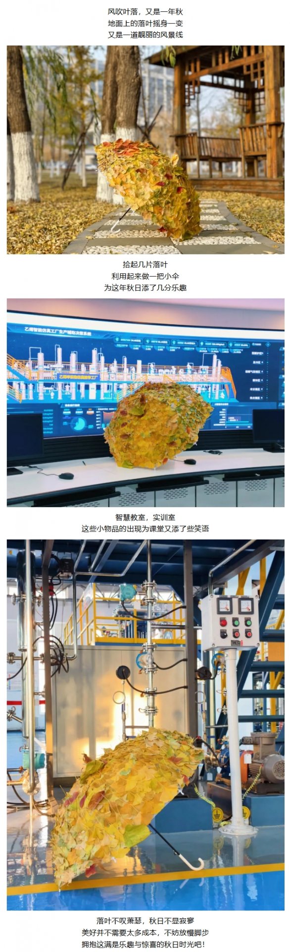 文章来源
