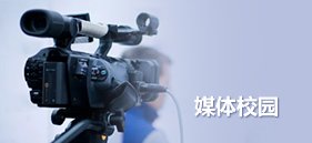 辽ICP备10016212号-1 星